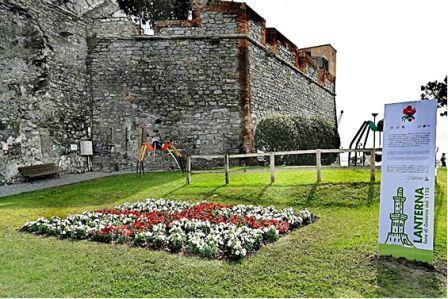 foto della composizione floreale