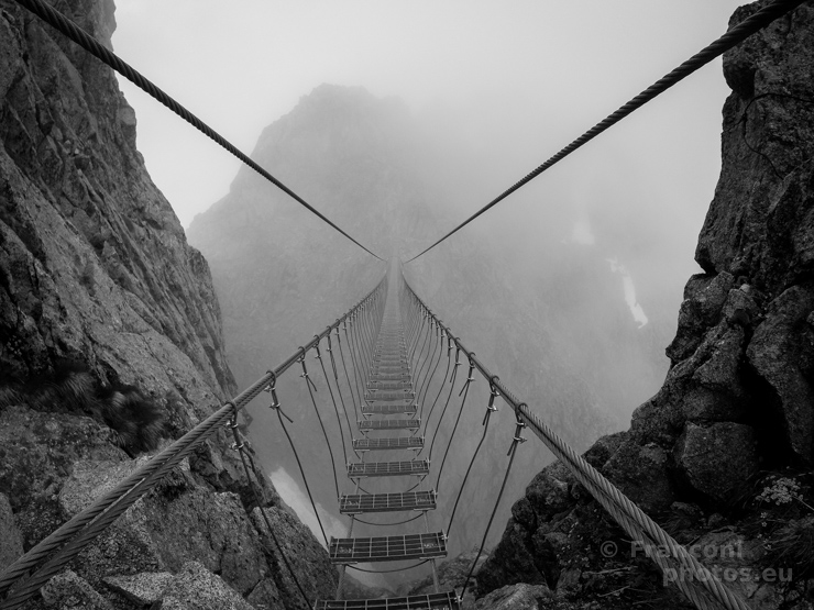 immagine della mostra