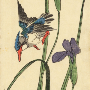 Iris kakitsubata and kingfisher - Chiossone Museum, Genoa