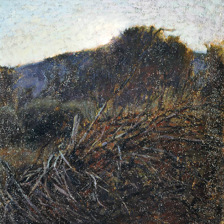 Aurora nello Scrivia - agosto