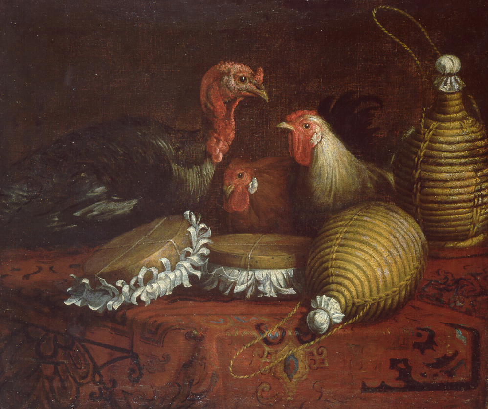 Gallinacei