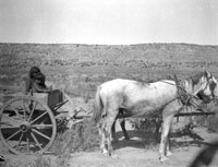 Bambini su carro - Arizona (1906)