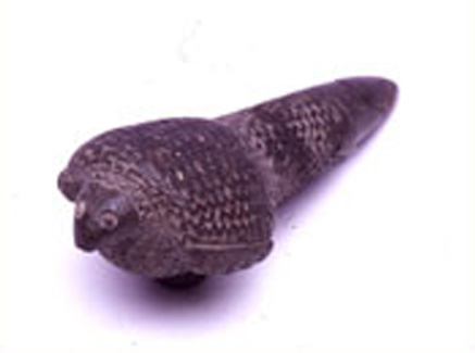 Figurina a forma di armadillo XV-XVI sec. d.C. (Inca) Figurina a forma di armadillo XV-XVI sec. d.C. (Inca)