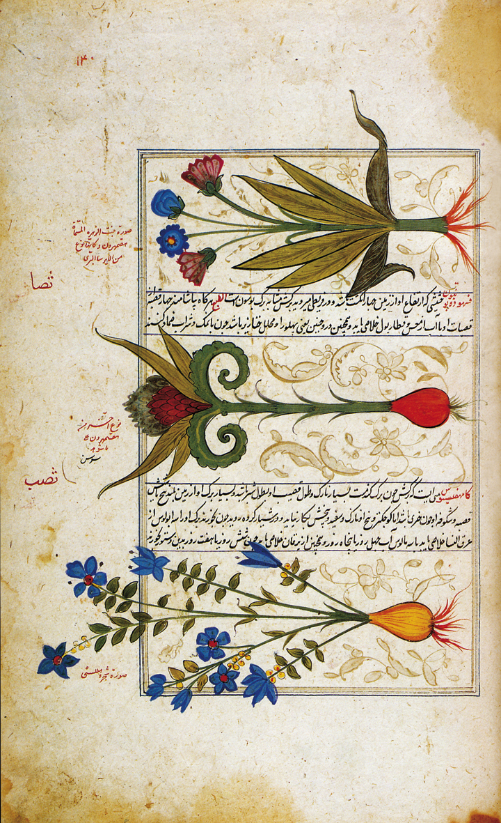 Kitāb-al-Ḥašā’iš (Libro delle erbe) 