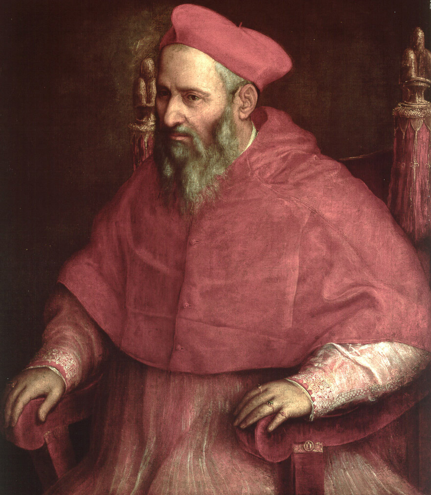 Ritratto del cardinal Giovanni Maria Ciocchi del Monte, poi Papa Giulio III Ritratto del cardinal Giovanni Maria Ciocchi del Monte, poi Papa Giulio III