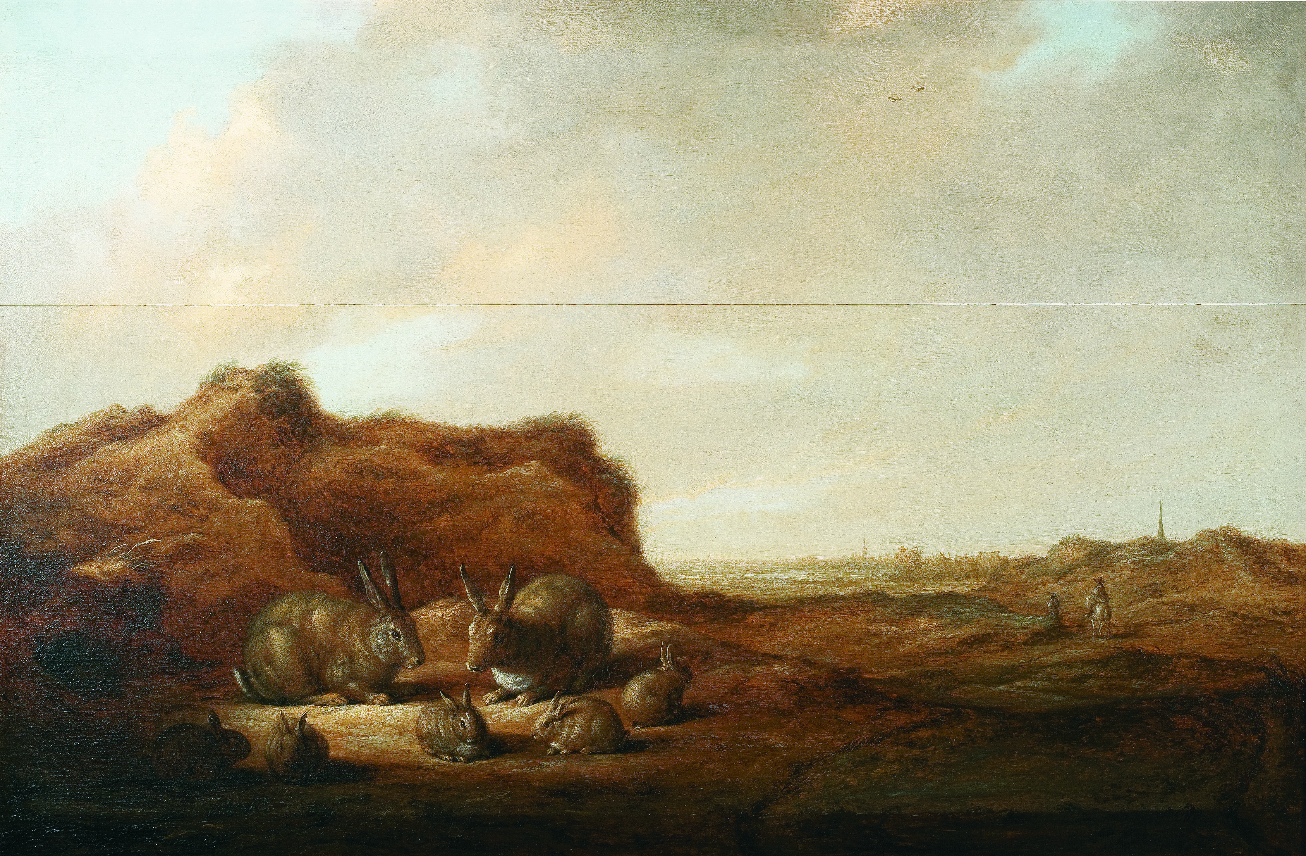 Paesaggio con conigli (1641-1642) 