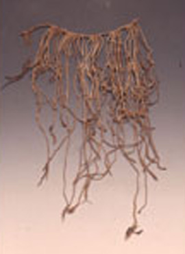 Quipu, III-XVI sec. d.C. (Inca) Quipu, III-XVI sec. d.C. (Inca)