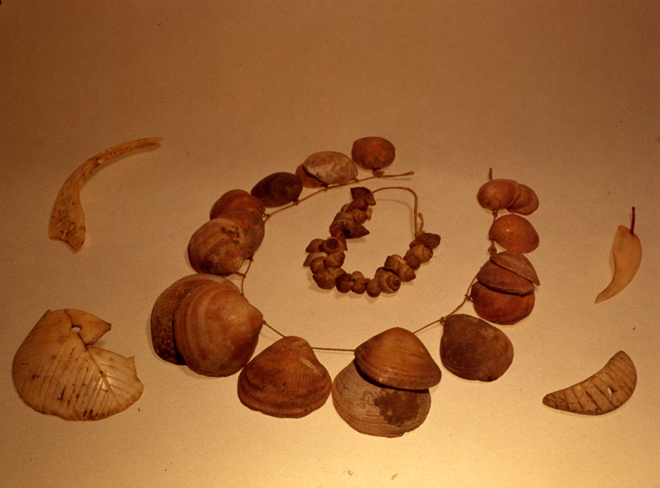 Ornamenti di Conchiglie (V - IV secolo) 