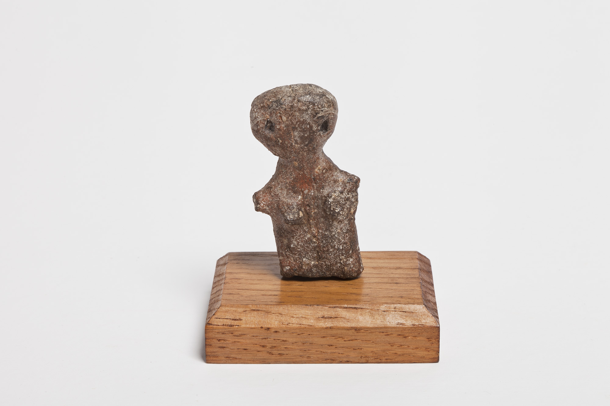 Statuina