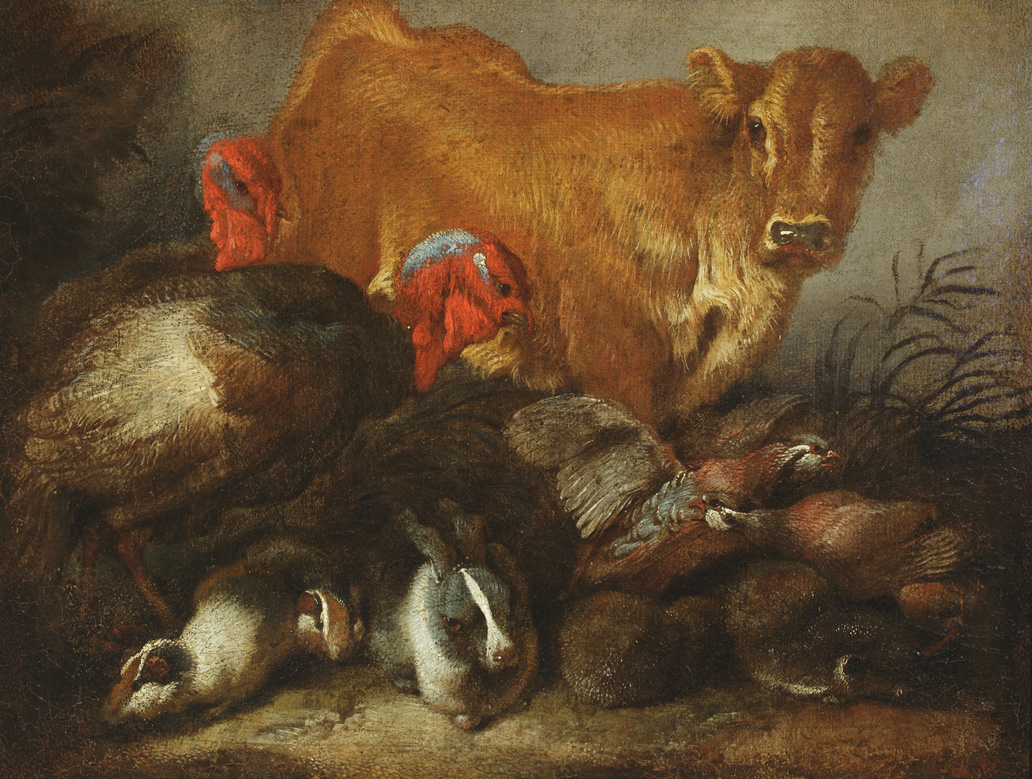 Studio di animali
