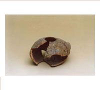 Vaso in terracotta (Sivu)