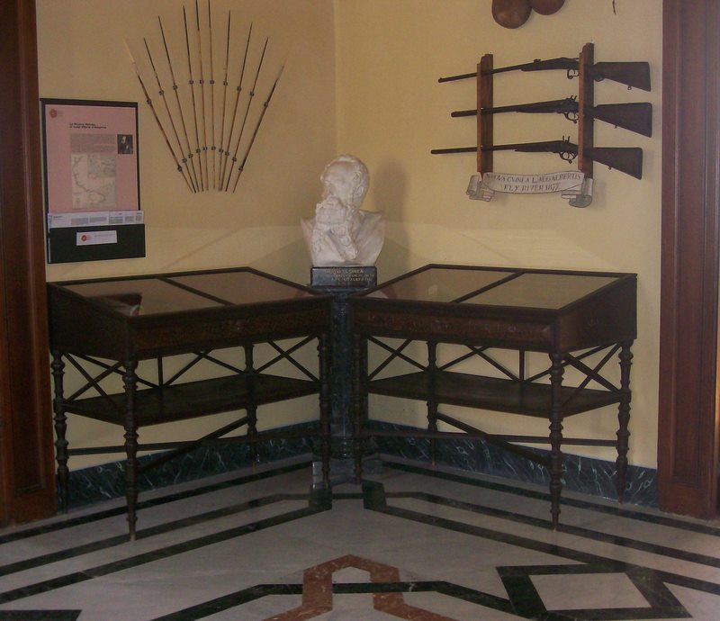  Luigi Maria d'Albertis bust and panoplia
