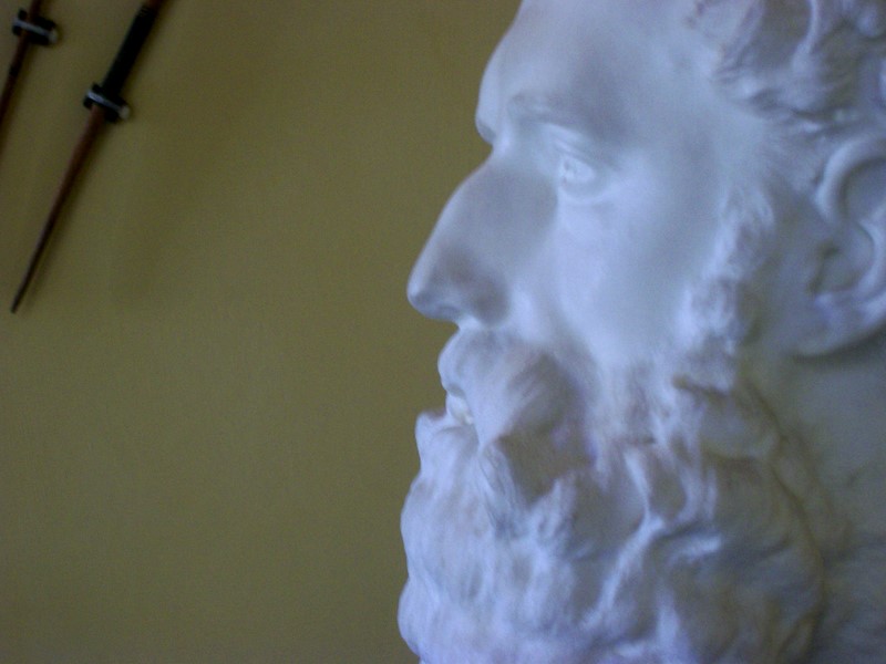 Luigi Maria D'Albertis bust