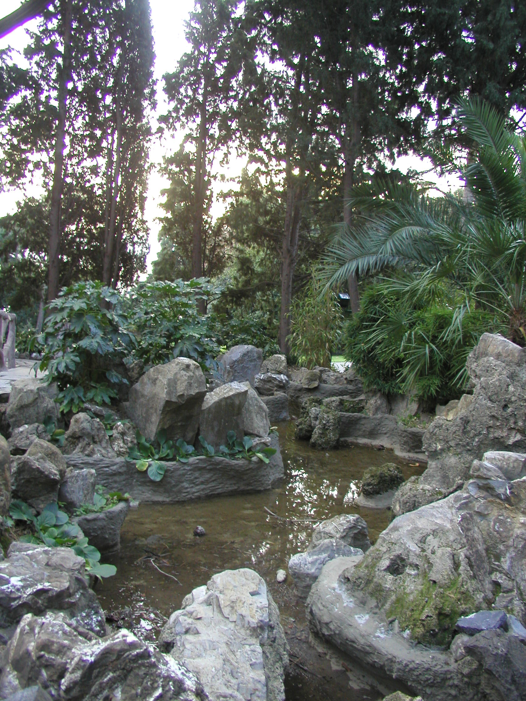 Parchi di Nervi,il ruscello nel giardino romantico