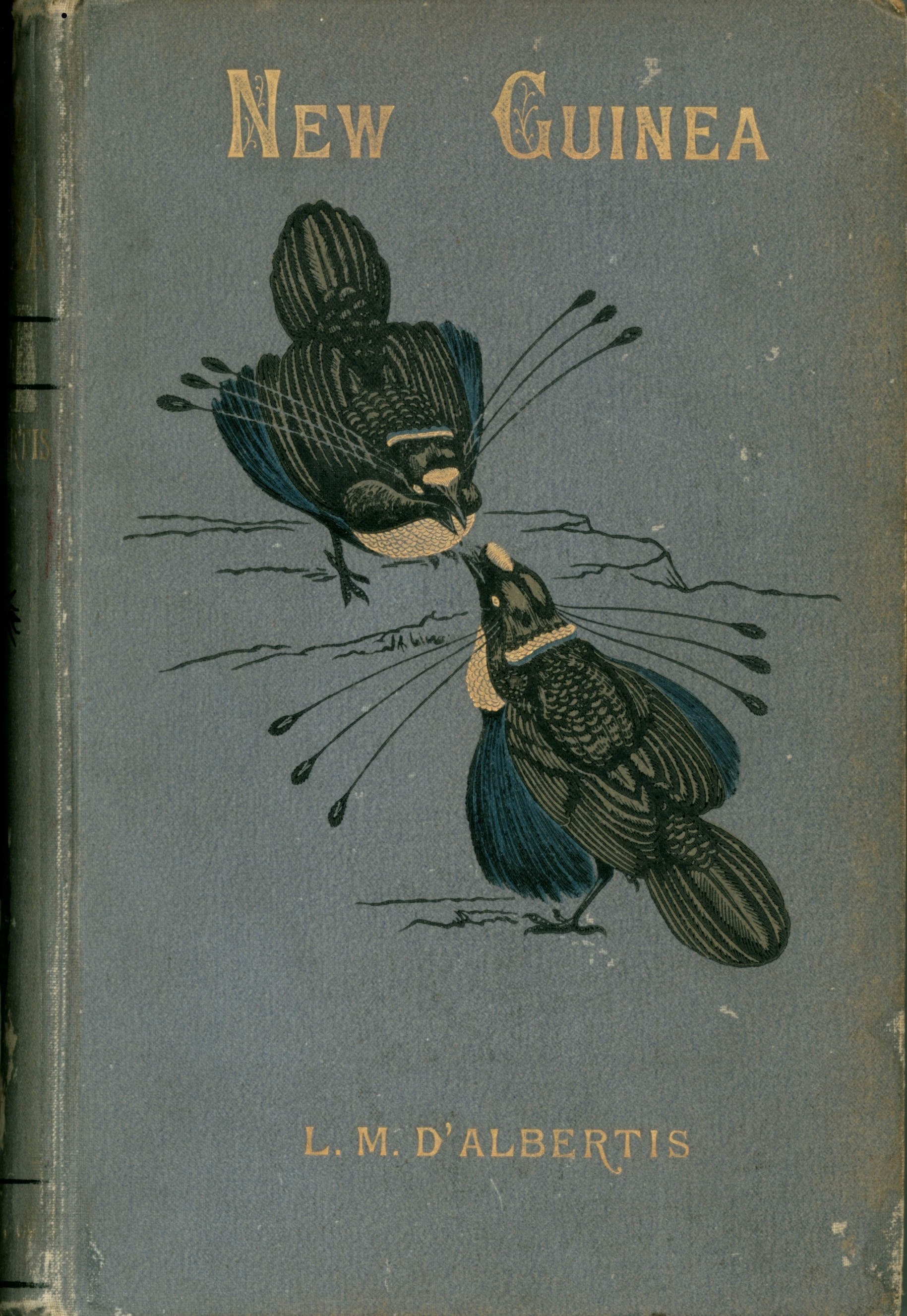 Book - To New Guinea