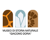 MineralsMuseo di Storia Naturale Giacomo Doria