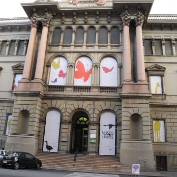 MUSEO DORIA MUSEO DORIA