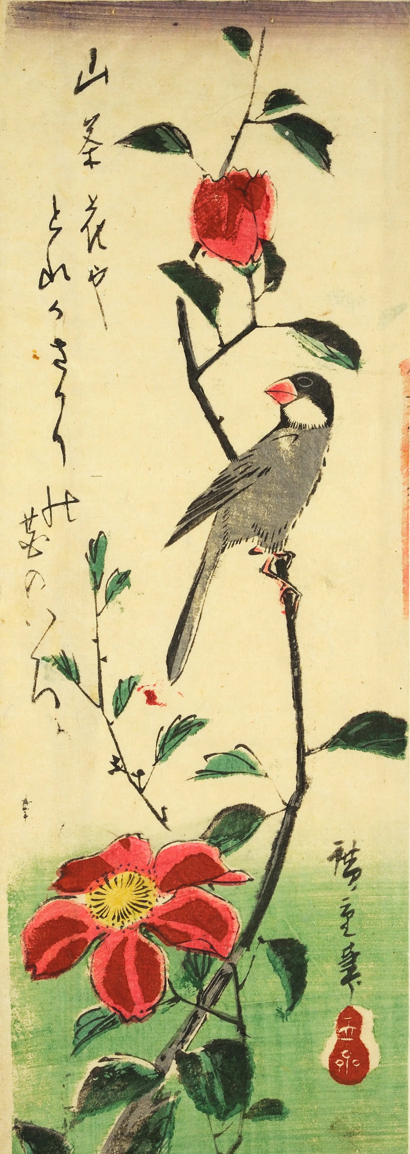 Finch on camellia branch -  Chiossone Museum, Genoa