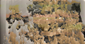 Mostra                          "Naturally Artificial"