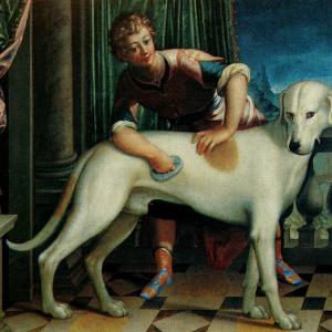 Ritratto del cane Rolando