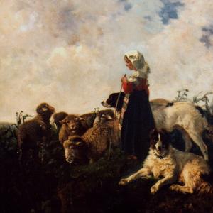 Shepherdess on the mountain