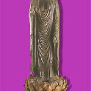 Amida, il Buddha della Vita Infinita (Amitābha) 
