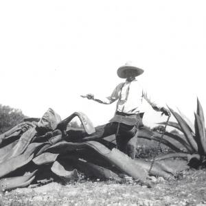 Boy with stick