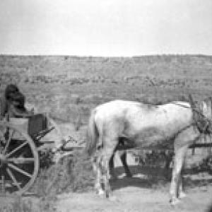 Children on wagons  - Arizona  (1906)