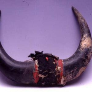 Buffalo horns, 1865 - 1875 circa (West Dakota, Brulee)