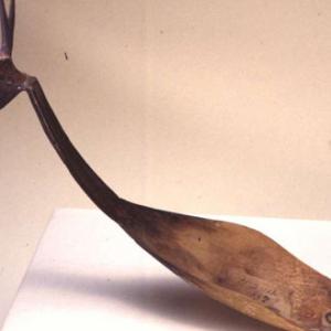 Spoon, 1875 - 1880 circa (Oglala - Lakota or Brulee)