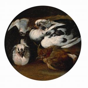 Due piccioni con un tordo 