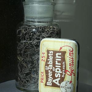 Akashbeli (Cuscuta reflexa, famiglia Convolvulaceae) e Bayer-Tablets of Aspirin 