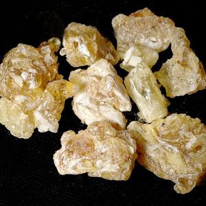 Asafoetida (Ferula assafetida, famiglia Apiaceae) 