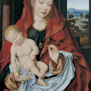 Madonna con il Bambino (J. Van Cleve)