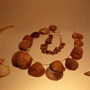 Ornamenti di Conchiglie (V - IV secolo) 