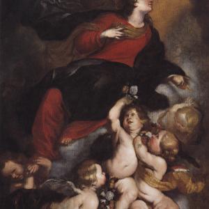 Santa Rosalia in gloria