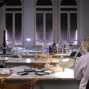 Museo di Storia Naturale G. Doria – laboratorio