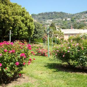 Parchi di Nervi, Roseto Luigi Viacava 