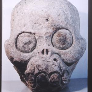 Skull-shaped protome