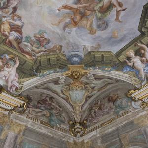Allegory of Winter - detail of the vault