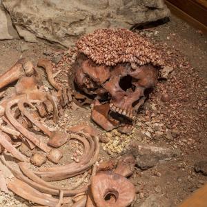 Sepoltura del "Principe" delle Arene Candide