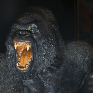 King Kong, il gigantesco gorilla
