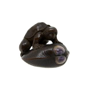 Netsuke a forma di Kappa su una conchiglia 