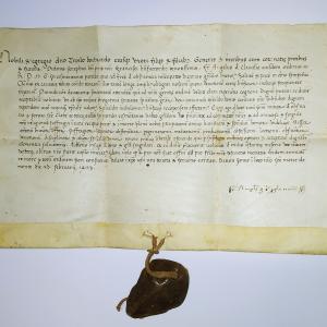 Diploma Beato Angelo da Chivasso