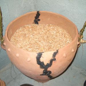 Servizi didattici - 4