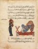 Kitāb-al-Ḥašā’iš (Libro delle erbe)