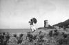Isola del Giglio  (1906)
