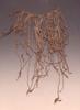 Quipu, III-XVI sec. d.C. (Inca) 