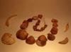 Ornamenti di Conchiglie (V - IV secolo) 