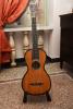 Chitarra appartenuta a G. Mazzini